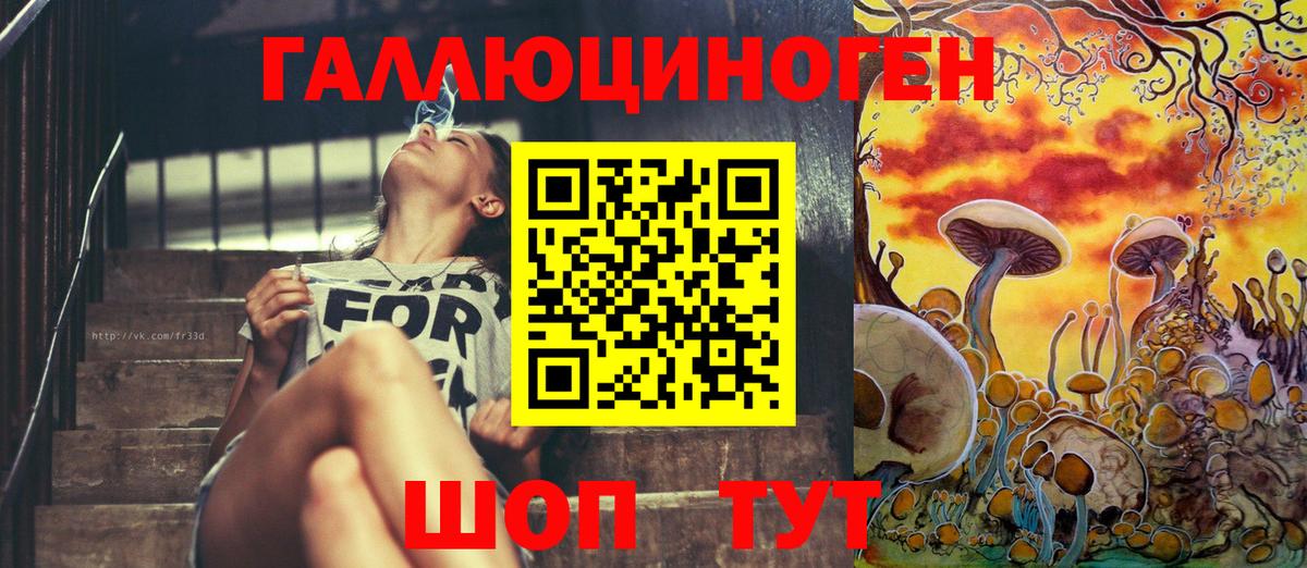 Галлюциногенные грибы GOLDEN TEACHER  Вход с VPN  Галлюциногенные грибы Psilocybe  Каменка 