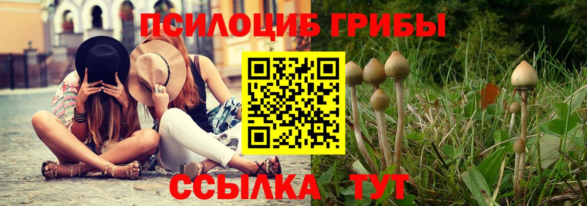 Псилоцибиновые грибы мухоморы Каменка